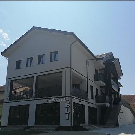 Pensiunea Eli Buzias Ngoại thất bức ảnh